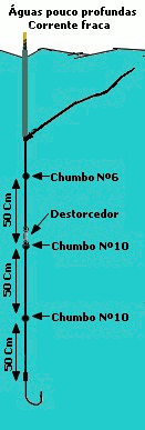 Pesca água pouco profunda