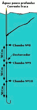 Pescaria em águas rasas