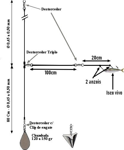 montagem de pesca para peixe grande com isco vivo