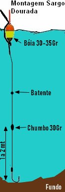 montagem pesca para o sargo com pouca corrente