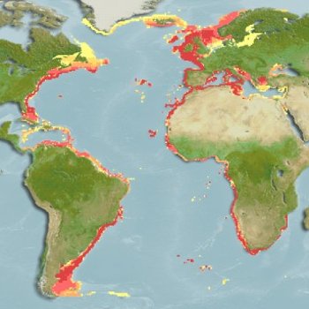 mapa distribuição cherne