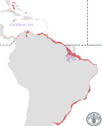 mapa distribuição corvina, Brasil, América do Sul