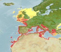 mapa distribuição dourada